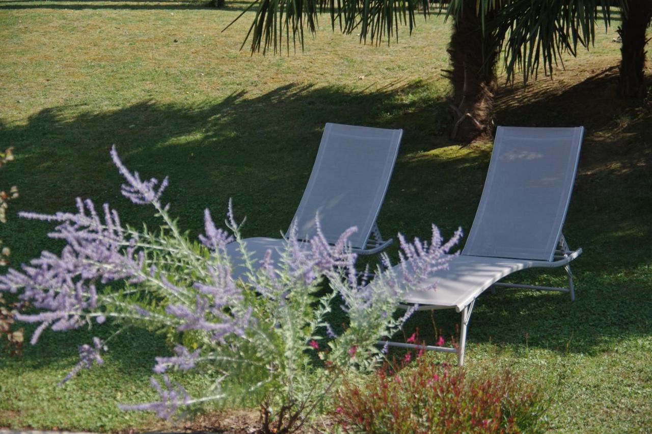 La Lilas Des Fargues Maison D'Hotes Albi Eksteriør bilde